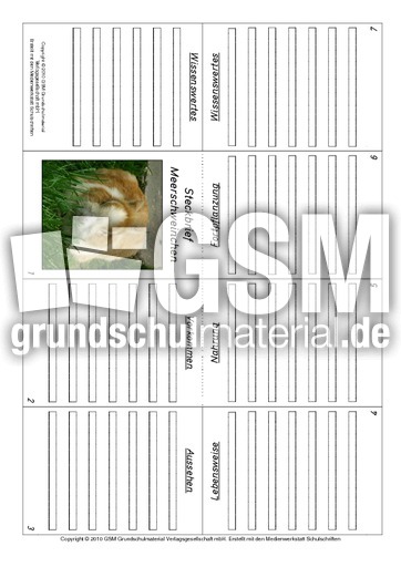 Faltbuch-Meerschweinchen.pdf